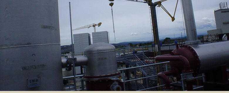 settore industria bio diesel